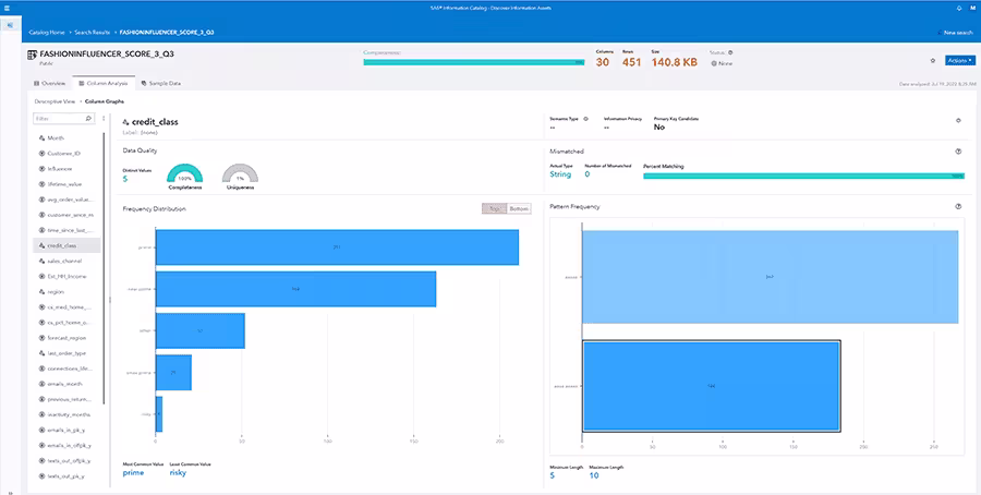 screenshot of SAS Viya